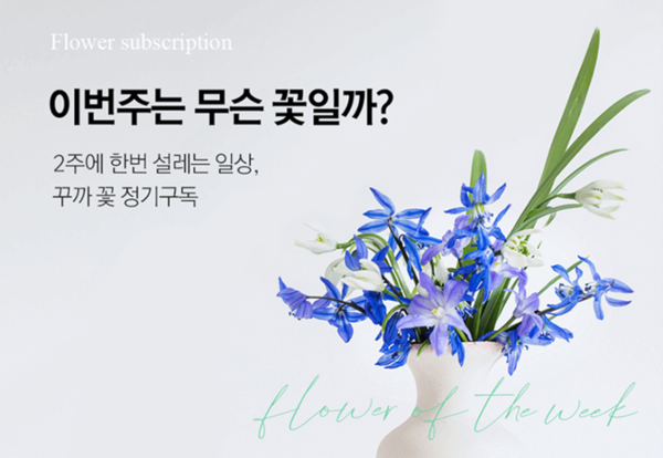 꾸까 꽃 정기구독 서비스 (사진 출처: 오피노마케팅)
