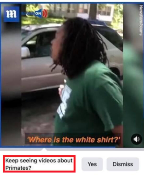 페이스북에서 흑인을 영장류로 분류해 논란이 있었다. / 자료 : 페이스북 페이지 캡쳐